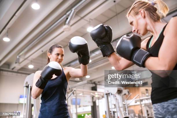 young women boxing in gym - boxing   womens stockfoto's en -beelden