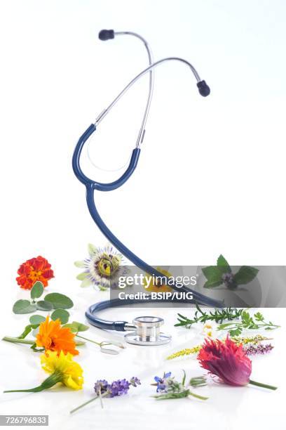 Medical Instrument Flower 303 Stethoscope Flower Stock Photos, High-Res Pictures, and Images ...