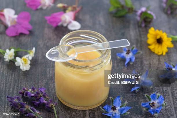 apitherapy - royal jelly stock pictures, royalty-free photos & images