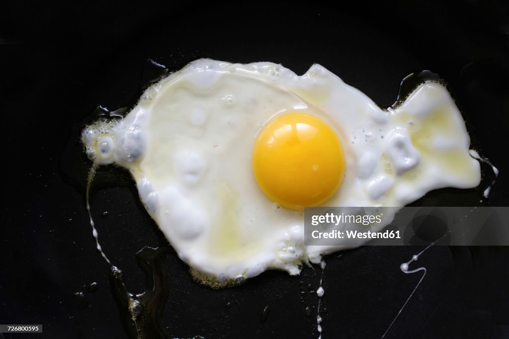 Fried egg on black background