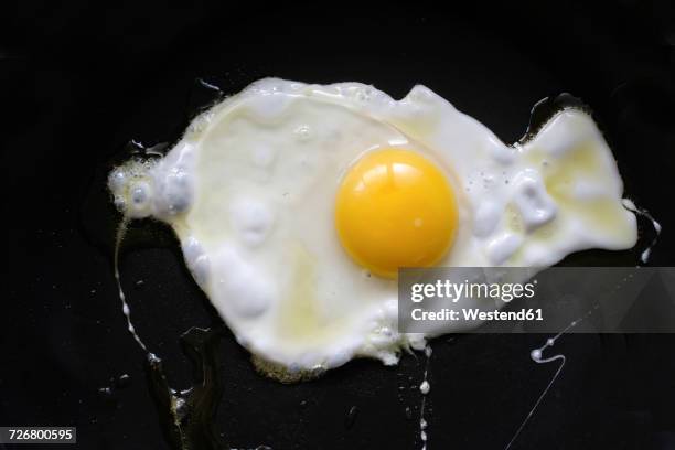 fried egg on black background - gema de ovo imagens e fotografias de stock