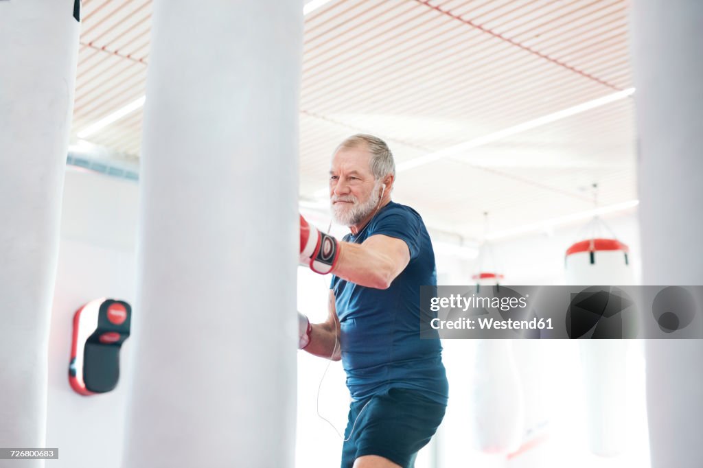 Fit senior man in boxing gloves fighting