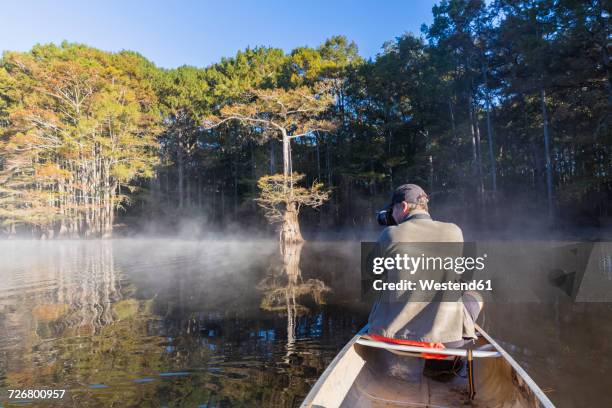 usa, texas, louisiana, caddo lake, bald cypress forest, tourist with camera in kayak - camera boat stock-fotos und bilder