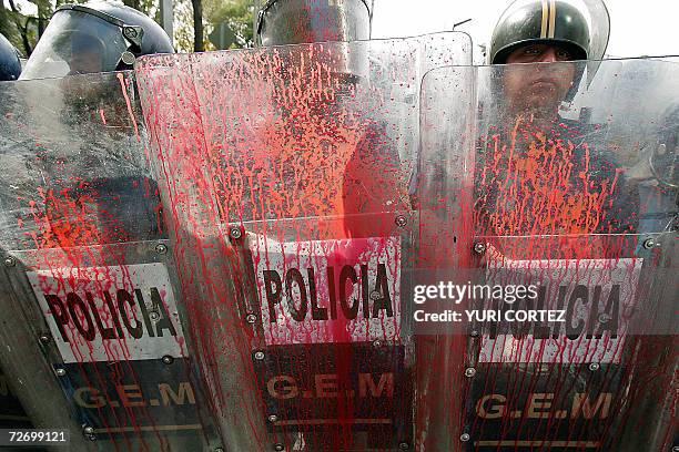 Riot policemen block the way to supporters of the Democratic Revolution Party who protest against the inauguration of Mexican new president Felipe...