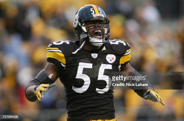 Joey Porter of the Pittsburgh Steelers celebrates a sack against the Tampa Bay Buccaneers at Heinz Field on December 3, 2006 in Pittsburgh,...