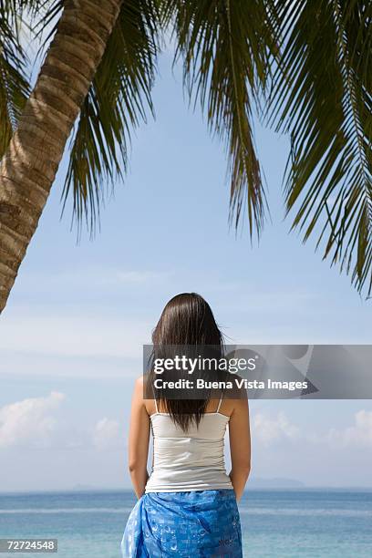 young woman on beach, standing beneath palm tree, rear view - tre quarti foto e immagini stock