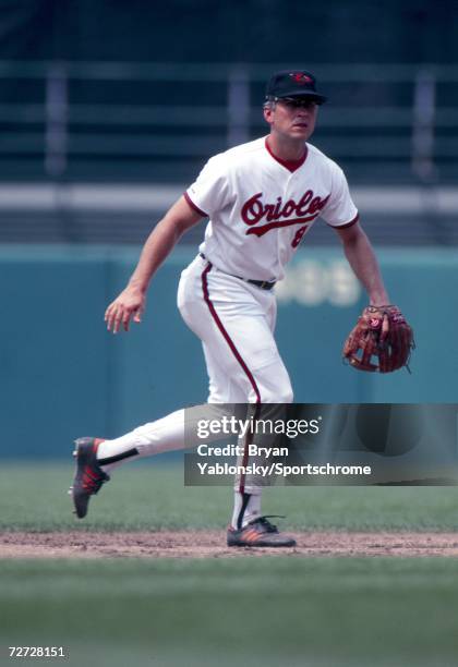 Cal Ripken Jr. Model Infielder Cal Ripken Jr of the Baltimore Orioles in the field during ...