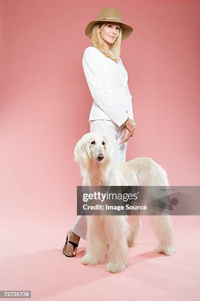 woman and an afghan hound - dog coloured background stock pictures, royalty-free photos & images