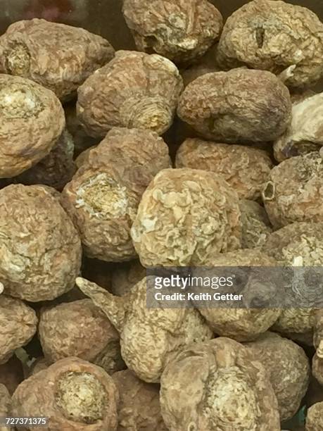 health - maca plant stock pictures, royalty-free photos & images