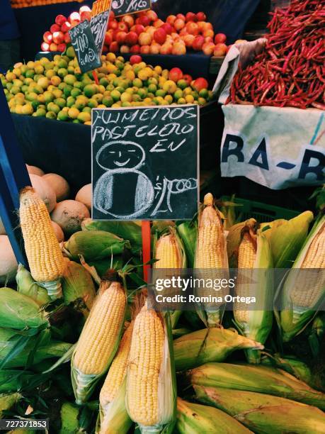 farmer's market - vegetales imagens e fotografias de stock