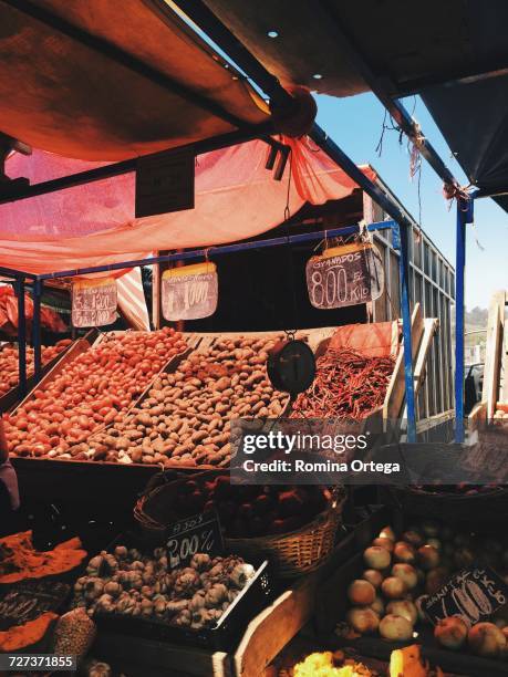 farmer's market - vegetales imagens e fotografias de stock