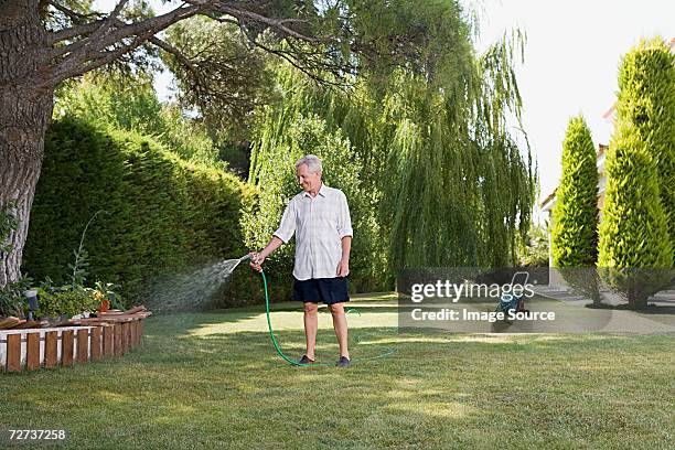 man watering lawn - hose stockfoto's en -beelden