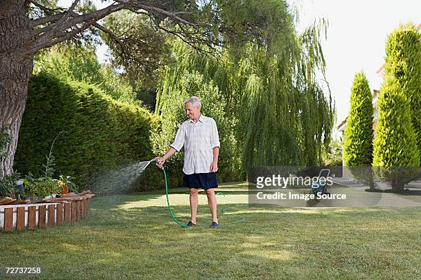 man watering lawn - hose stock pictures, royalty-free photos & images