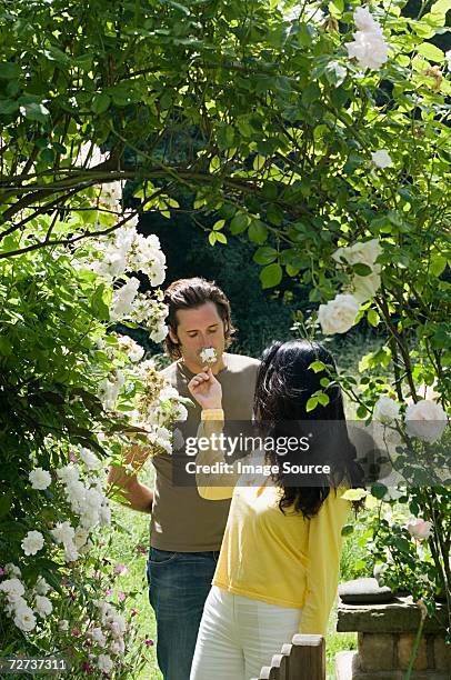 couple smelling flowers - garden gate rose stock pictures, royalty-free photos & images