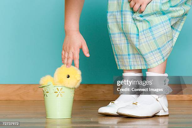 girl stroking a soft toy chick - girls in socks stockfoto's en -beelden