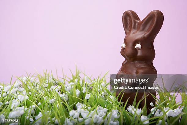 chocolate rabbit - chocolate bunny stock pictures, royalty-free photos & images