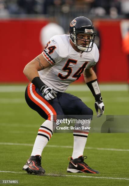 Linebacker Brian Urlacher of the Chicago Bears plays against the New England Patriots on November 26, 2006 at Gillette Stadium in Foxborough,...