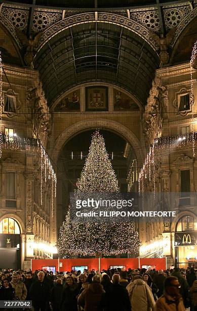 Giant Christmas tree stands inside Galleria Umberto I shopping mall in central Milan 08 December, 2006. The Italian fashion capital prepares for the...
