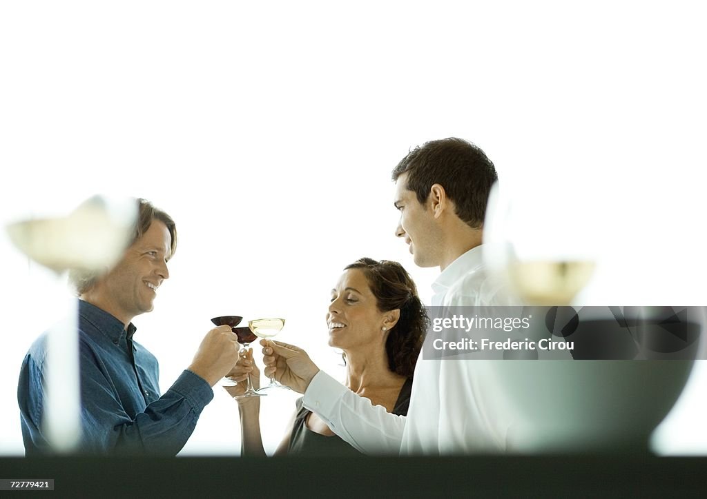 People making a toast with glasses of wine