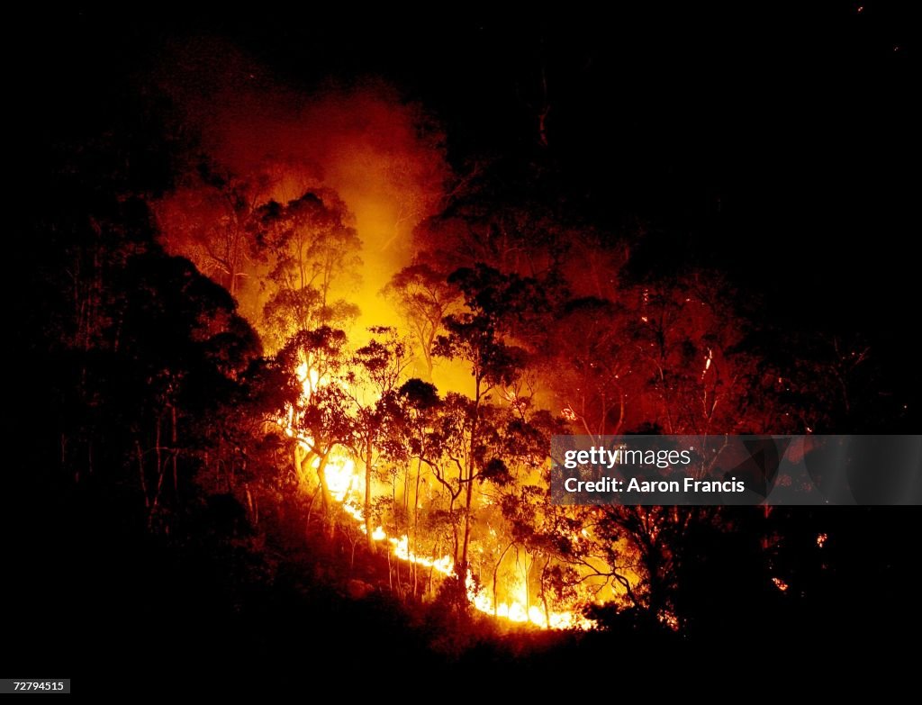 Australian Bushfires