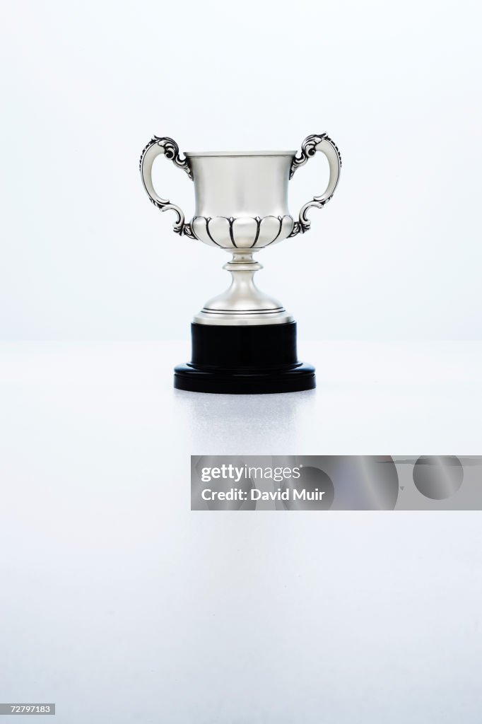 Trophy cup in studio, white background