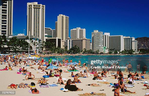 waikiki beach, waikiki, united states of america - waikiki bildbanksfoton och bilder