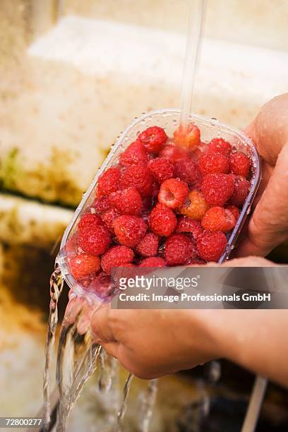 hands holding punnet of raspberries under running water - barquette photos et images de collection