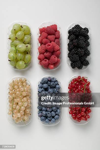 six plastic punnets of different berries - fruit carton stock pictures, royalty-free photos & images
