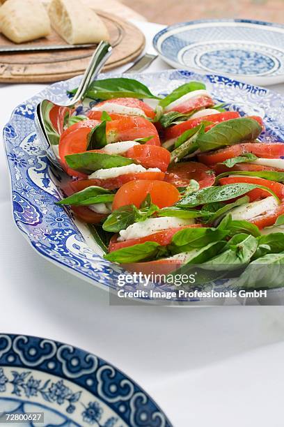 insalata caprese (tomatoes and mozzarella, italy) - insalata - fotografias e filmes do acervo