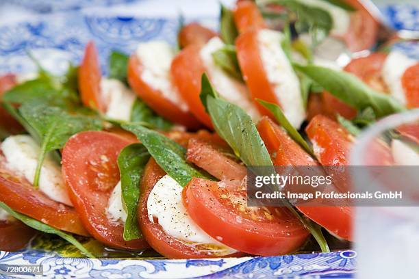 insalata caprese (tomatoes and mozzarella, italy) - insalata stock-fotos und bilder