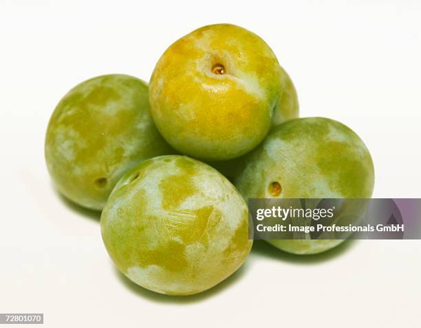 five greengages - greengage stock pictures, royalty-free photos & images