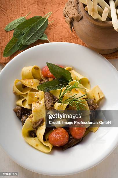 ribbon pasta with braised oxtail, tomatoes, grissini - osso bucco stock-fotos und bilder