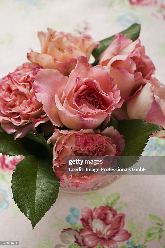 Pink roses in vase