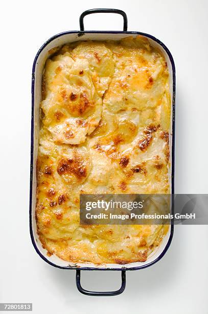 potato gratin in roasting tin - casserole stock pictures, royalty-free photos & images