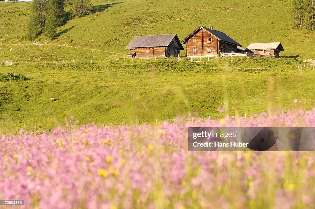 Austria, Alpine Lodge in Meadow