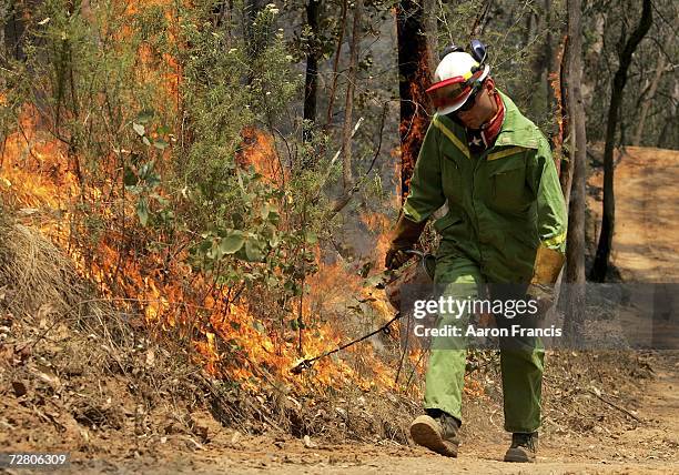 Firefighter shields himself from the heat while doing back-burning in scrubland close to Mt Beauty on December 12, 2006 in Melbourne, Australia....