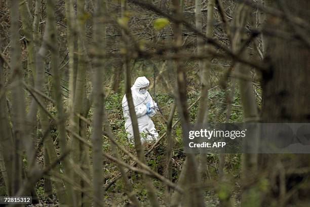 British Forensics 152 Woods Crime Scene Stock Photos, High-Res Pictures, and Images ...
