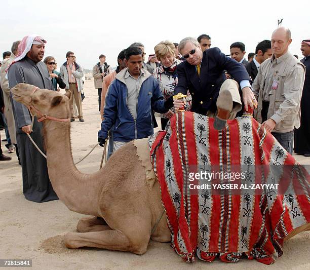 122 Kuwait Camel Club Photos and Premium High Res Pictures - Getty Images