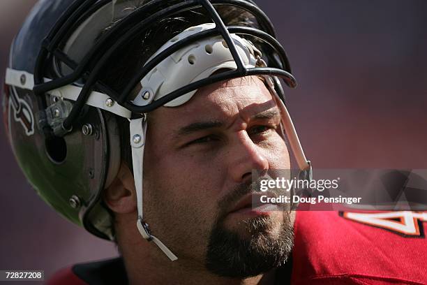 Fullback Mike Alstott of the Tampa Bay Buccaneers looks on against the Atlanta Falcons on December 10, 2006 at Raymond James Stadium in Tampa,...