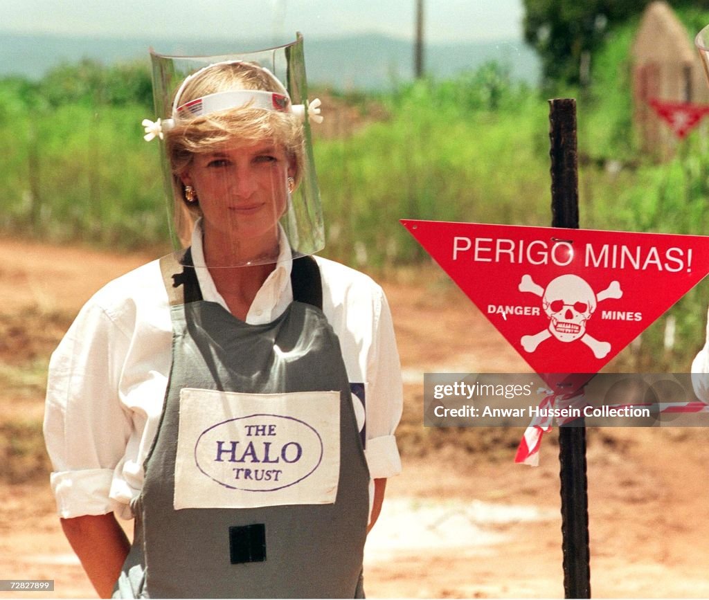 (File) Diana Inquiry Report