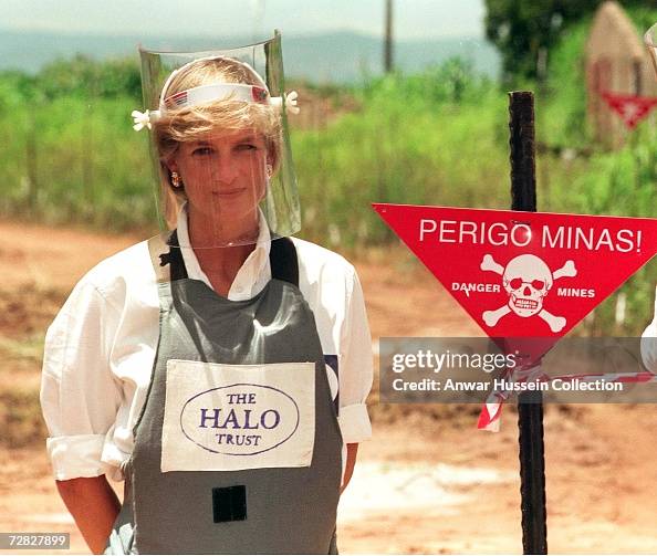 (File) Diana Inquiry Report (File) Diana Inquiry Report