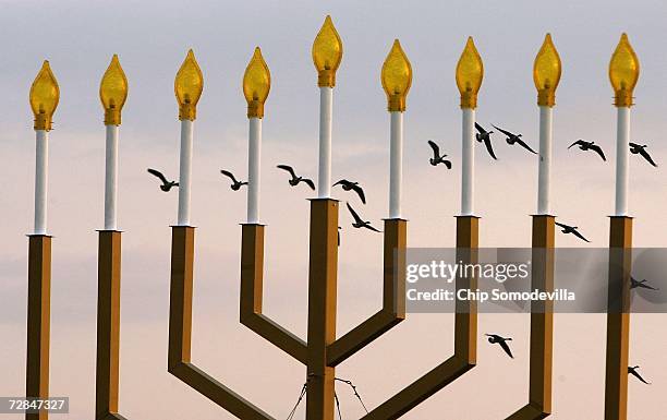 Group of Canada Geese fly past the National Menorah on the Ellipse December 18, 2006 in Washington, DC. The temperature reached 73-degrees today...