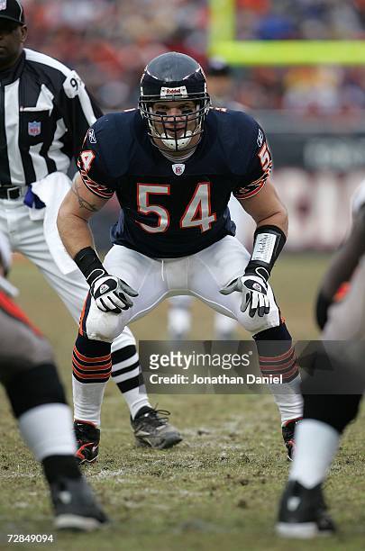 Linebacker Brian Urlacher of the Chicago Bears lines up on defense against the Tampa Bay Buccaneers December 17, 2006 at Soldier Field in Chicago,...