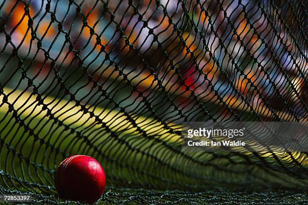 Cricket ball lies against a training net at the Gabba cricket ground during the first Ashes test November 24, 2006 in Brisbane, Australia. The Ashes...