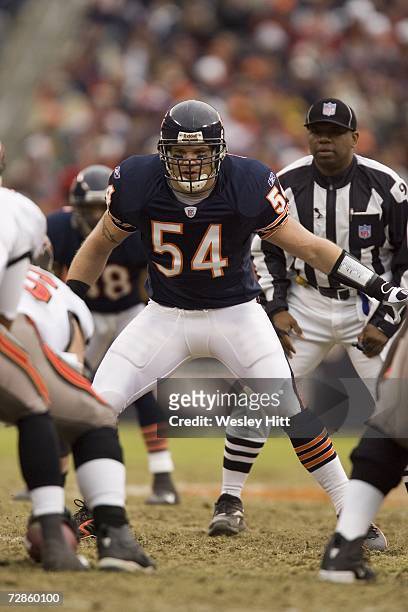 Linebacker Brian Urlacher of the Chicago Bears looks over the offense during a game against the Tampa Bay Buccaneers at Soldier Field on December 17,...