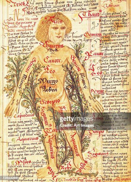 Influence of the stars on illnesses of the human body, from 'Tractatus de Pestilencia'