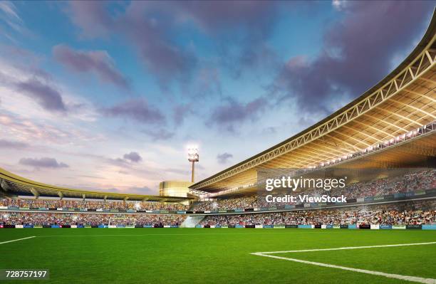Football Overview 24,102 Football Stadium Overview Stock Photos, High-Res Pictures, and ...