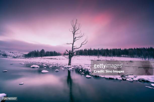 winter scene of river in mountains, inner mongolia autonomous region, china - inner mongolia photos et images de collection