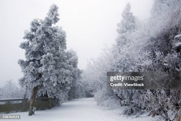 heng mountain snow in hengyang,hunan province,china - rime ice stock pictures, royalty-free photos & images