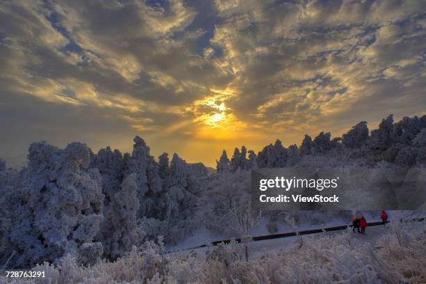 heng mountain snow in hengyang,hunan province,china - raufrost stock-fotos und bilder